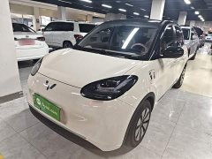 Wuling Binguo 333km Lingxi Connected Edition - ფოტო 1