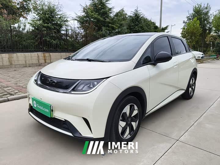 BYD Dolphin 420km Fashion Edition - ავტომობილი ჩინეთიდან