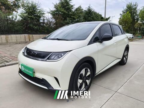2024 BYD Dolphin 420km Fashion Edition