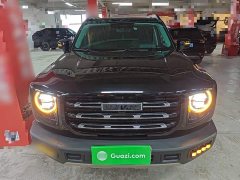 Great Wall Dachshund 2022 1.5T DCT Two-Wheel Drive Labrador Edition - ფოტო 2