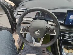 BYD Qin Plus 2021 DM-i 55KM Flagship - ფოტო 10