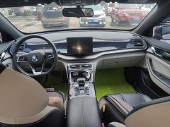 BYD Qin Plus 2021 DM-i 55KM Flagship - ფოტო 9