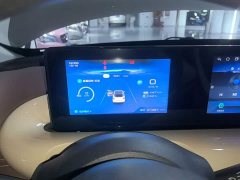 Wuling Binguo 333km Joy Edition - ფოტო 11