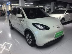 Wuling Binguo 333km Joy Edition - ფოტო 3