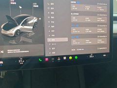 Tesla Model 3 Rear-Wheel Drive - ფოტო 11
