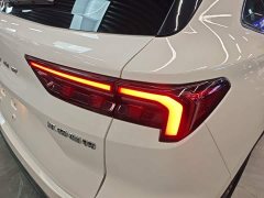 Ford Lingrui 2022 EcoBoost 170 Elite Edition - ფოტო 7