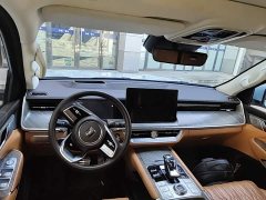 Tank 500 3.0T Business Edition Landscape Version 5-Seater - ფოტო 9