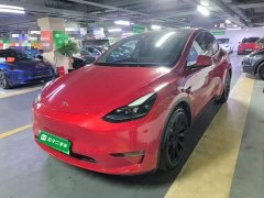 Tesla Model Y Long Range All-Wheel Drive - ფოტო 1