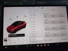 Tesla Model Y Long Range All-Wheel Drive - ფოტო 11