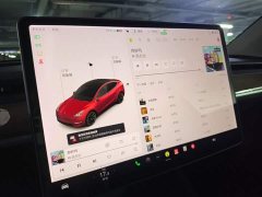 Tesla Model Y Long Range All-Wheel Drive - ფოტო 12