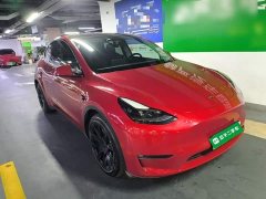 Tesla Model Y Long Range All-Wheel Drive - ფოტო 3