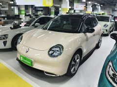 ORA Good Cat 400km Standard Range Athena Edition Ternary Lithium - ფოტო 1