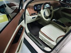 ORA Good Cat 400km Standard Range Athena Edition Ternary Lithium - ფოტო 15