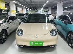 ORA Good Cat 400km Standard Range Athena Edition Ternary Lithium - ფოტო 2