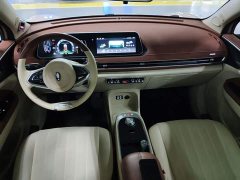 ORA Good Cat 400km Standard Range Athena Edition Ternary Lithium - ფოტო 9