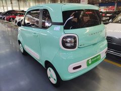FAW Besturn Xiaoma 170km Vitality Edition - ფოტო 4