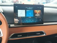 BYD e2 Luxury - ფოტო 12