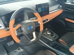 BYD e2 Luxury - ფოტო 9
