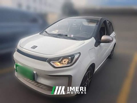 2021 Flower Fairy 200km Classic - car from China