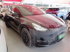 Tesla Model Y Standard Range RWD - фото 3