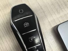 BYD Han DM-i Champion Edition 121KM Premium - photo 11