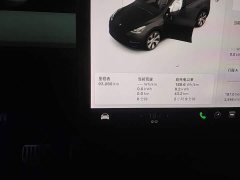 Tesla Model Y Standard Range RWD - photo 11