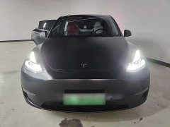 Tesla Model Y Standard Range RWD - photo 2