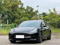 Tesla Model 3 Rear-Wheel Drive - ფოტო 1