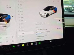 Tesla Model 3 Rear-Wheel Drive - ფოტო 11