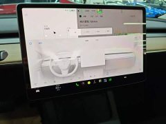 Tesla Model 3 Rear-Wheel Drive - ფოტო 12