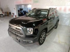 Great Wall Dachshund 1.5T DCT Two-Wheel Drive Malinois Hunting Edition - ფოტო 1