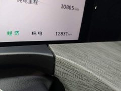 Tank 500 New Energy Hi4-T Smart Comfort Edition - photo 16