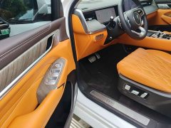 Tank 500 New Energy Hi4-T Smart Comfort Edition - photo 20