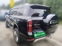 Tank 500 3.0T Sport Landscape 5-Seater - photo 6