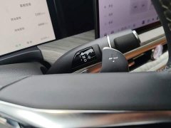 Tank 500 New Energy Hi4-T Smart Comfort Edition - photo 18