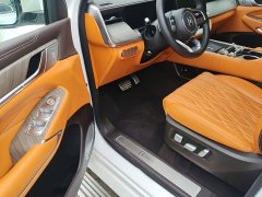 Tank 500 New Energy Hi4-T Smart Comfort Edition - photo 20