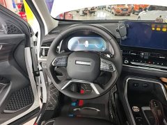Haval H6 National Trend Edition 1.5T Automatic Champion Version - ფოტო 10