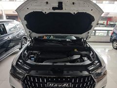 Haval H6 National Trend Edition 1.5T Automatic Champion Version - ფოტო 19