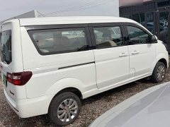 Golden Sea Lion Classic 1.5L Passenger Vehicle Engineering Lion 5/6/7 Seater - ფოტო 13