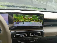 Baojun Yueye Smart Premium Edition - ფოტო 12