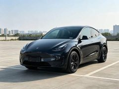 Tesla Model Y Rear-Wheel Drive - ფოტო 1