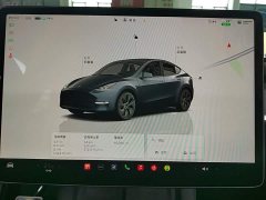Tesla Model Y Rear-Wheel Drive - ფოტო 11