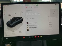 Tesla Model Y Rear-Wheel Drive - ფოტო 12