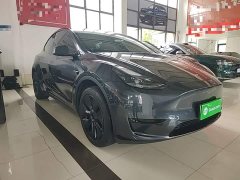Tesla Model Y Rear-Wheel Drive - ფოტო 3