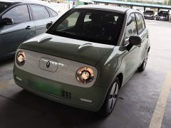 ORA Black Cat Facelift 301km Pet-Lover Edition LFP Battery - ფოტო 1