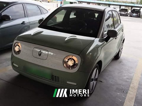 2022 ORA Black Cat Facelift 301km Pet-Lover Edition LFP Battery - ავტომობილი ჩინეთიდან