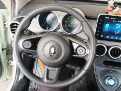 ORA Black Cat Facelift 301km Pet-Lover Edition LFP Battery - ფოტო 10