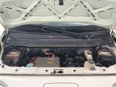 ORA Black Cat Facelift 301km Pet-Lover Edition LFP Battery - ფოტო 19