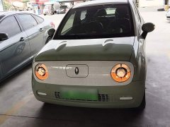ORA Black Cat Facelift 301km Pet-Lover Edition LFP Battery - ფოტო 2