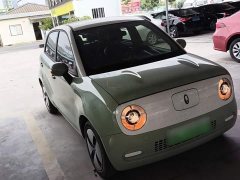 ORA Black Cat Facelift 301km Pet-Lover Edition LFP Battery - ფოტო 3